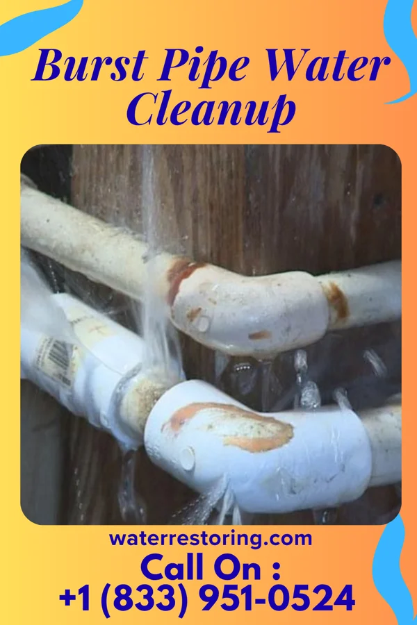 Burst Pipe Water Cleanup in Canton, OH