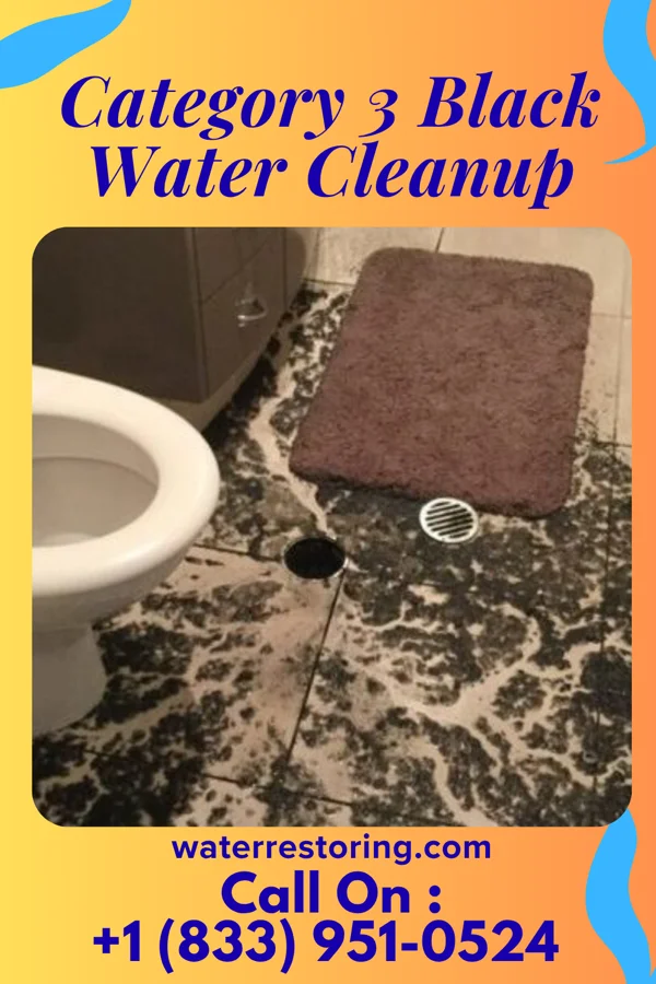 Category 3 Black Water Cleanup in Canton, OH