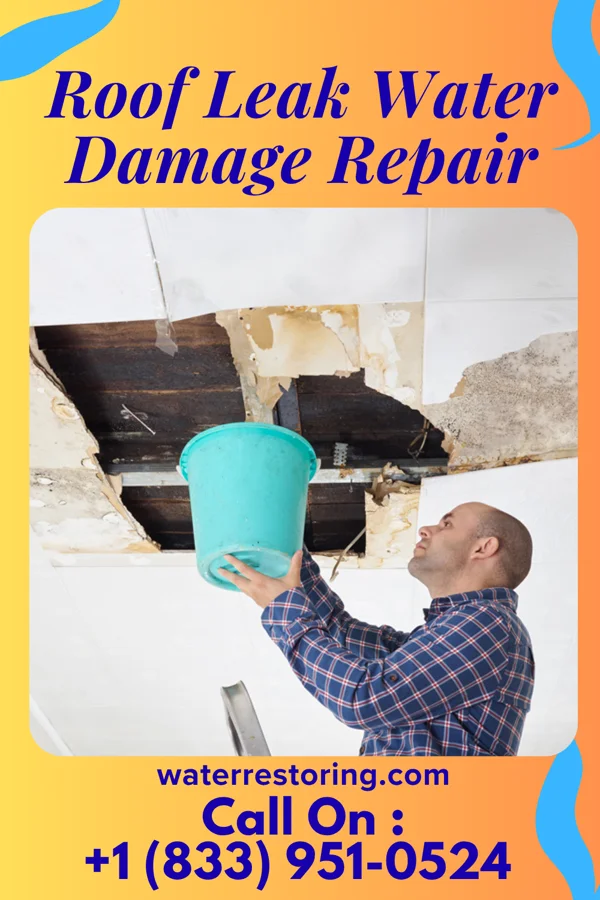 Roof Leak Water Damage Repair in Canton, OH